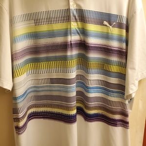 Puma polo